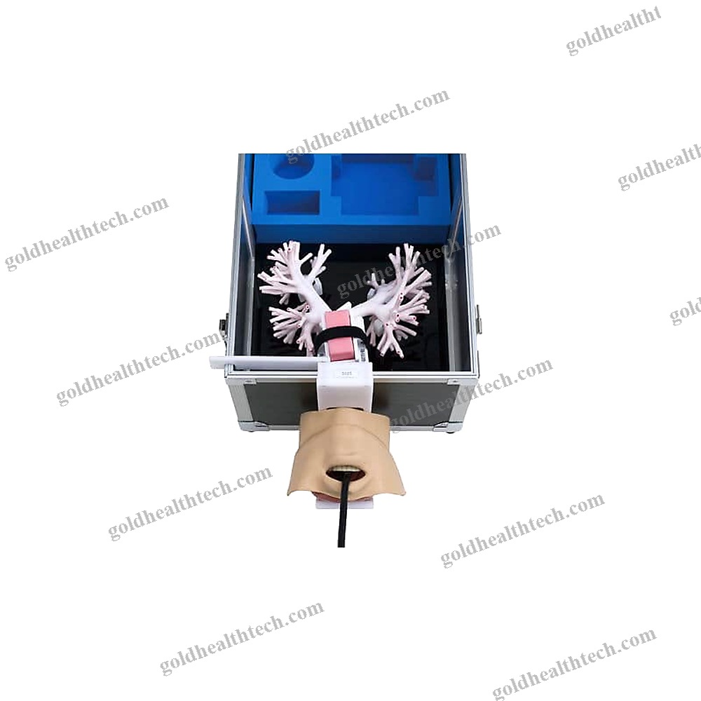 Training Simulator
