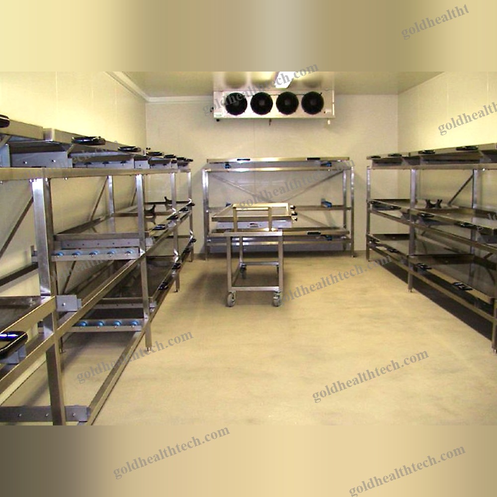 Bed Transfer Trolley