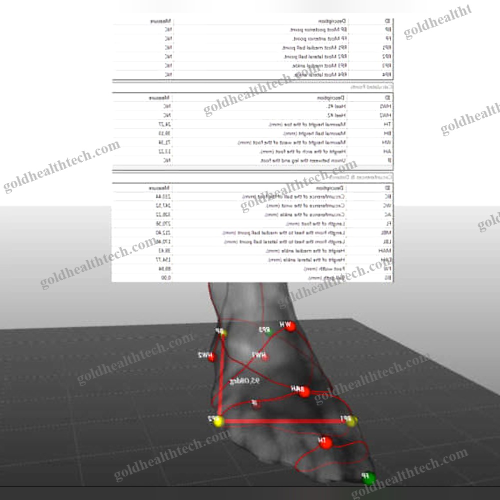 Gait Evaluation System