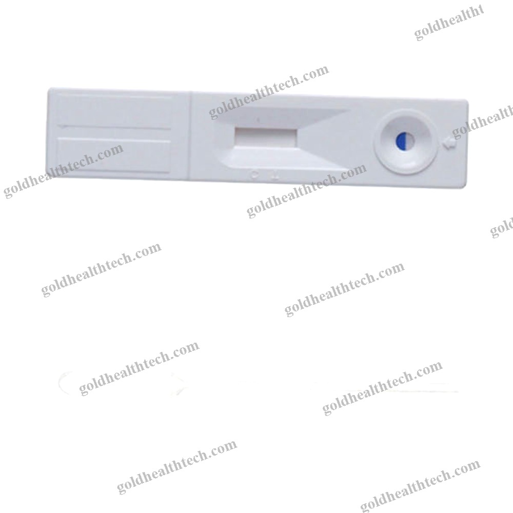 Pregnancy Test