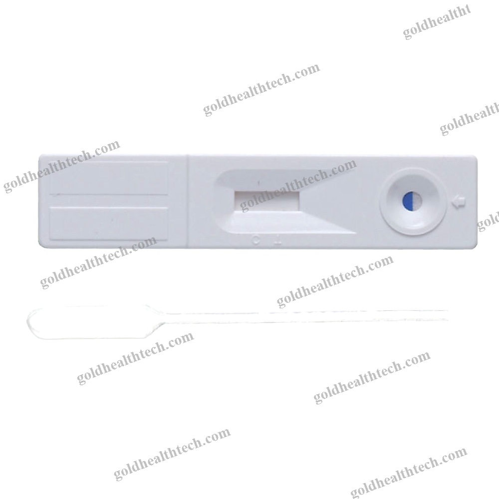 Pregnancy Test