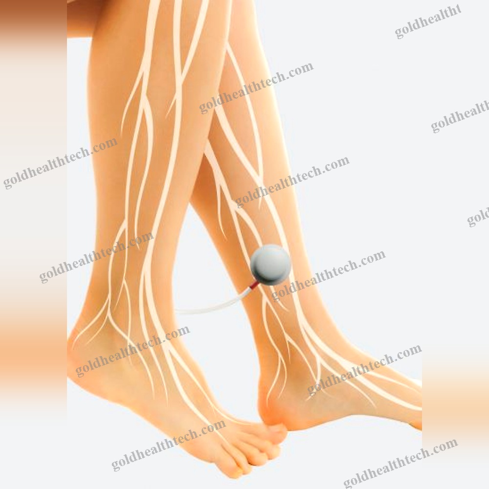 Body Plethysmograph