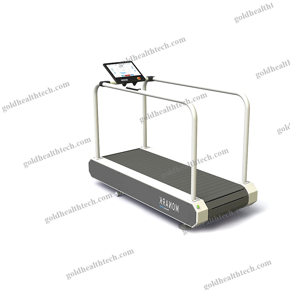 Treadmill Ergometer With Handrails