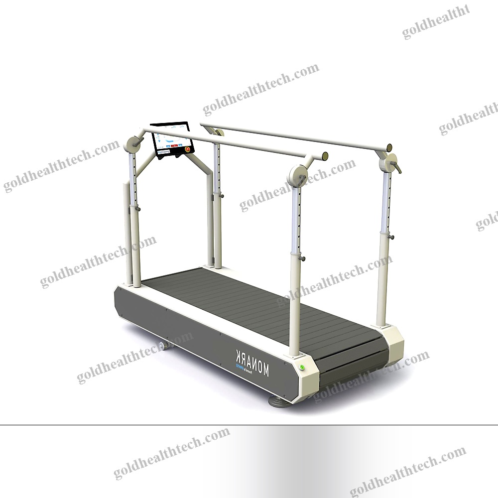 Treadmill Ergometer With Handrails