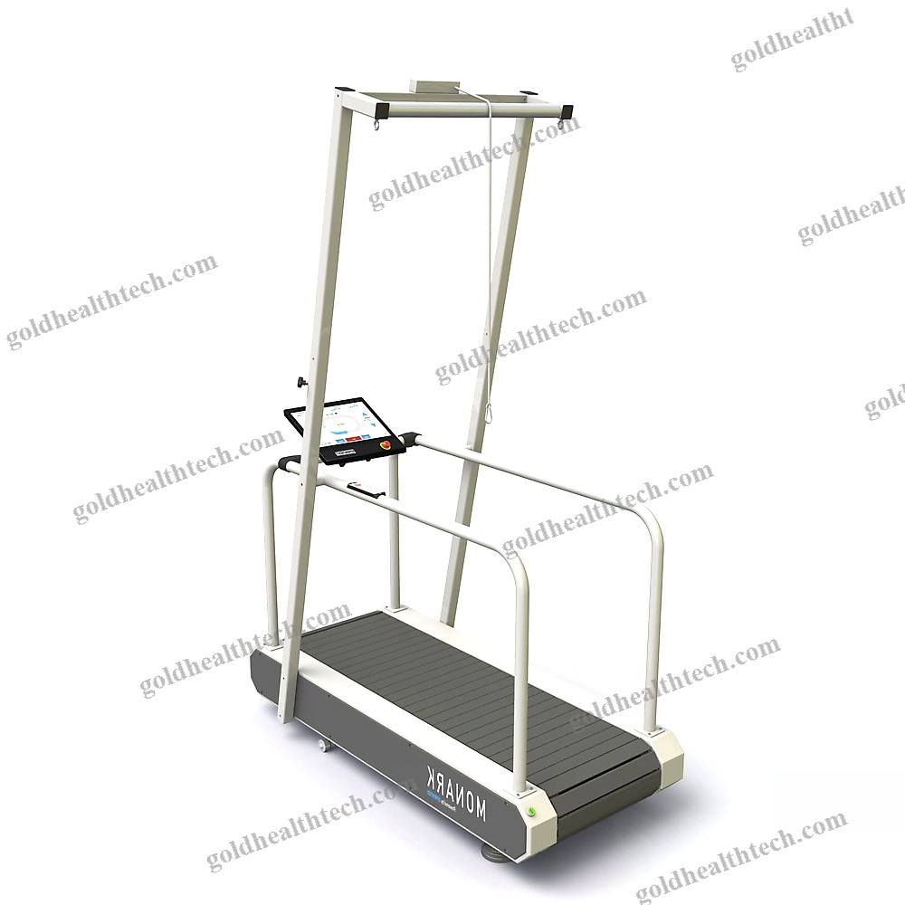 Treadmill Ergometer With Handrails