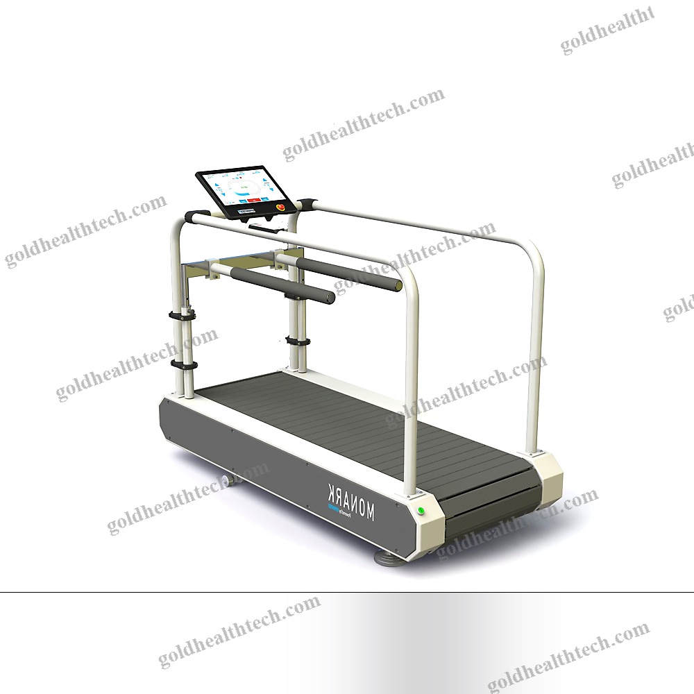 Treadmill Ergometer With Handrails