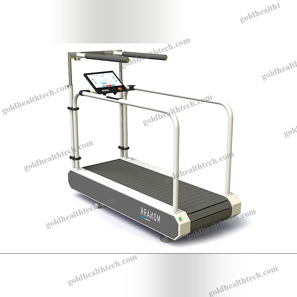 Treadmill Ergometer With Handrails