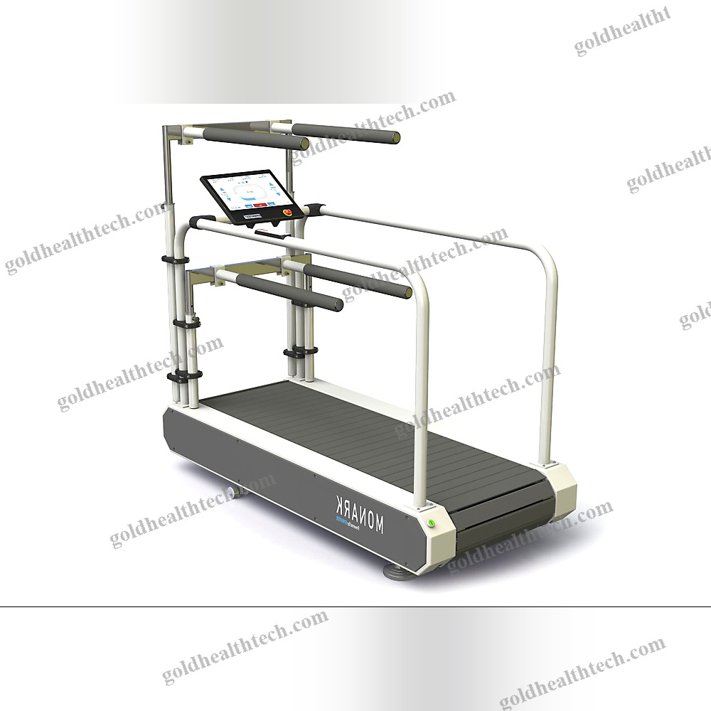 Treadmill Ergometer With Handrails