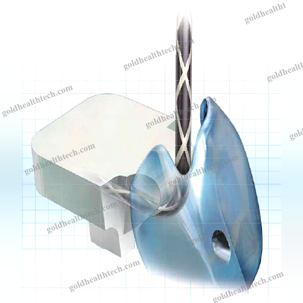Video Duodenoscope