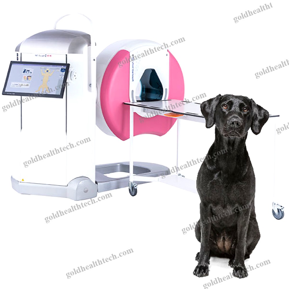 Veterinary Cbct Scanner