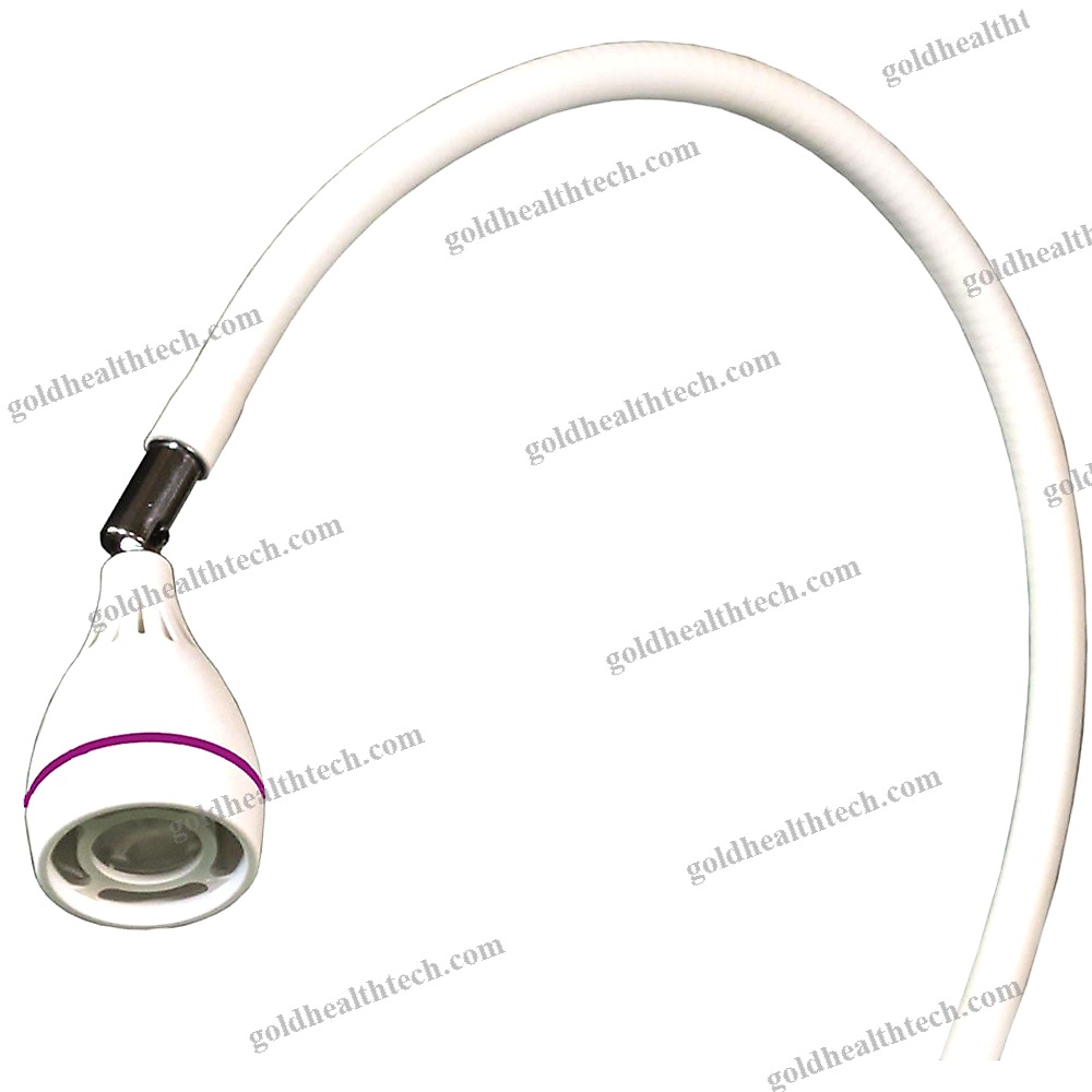 Gynecological Examination Lamp
