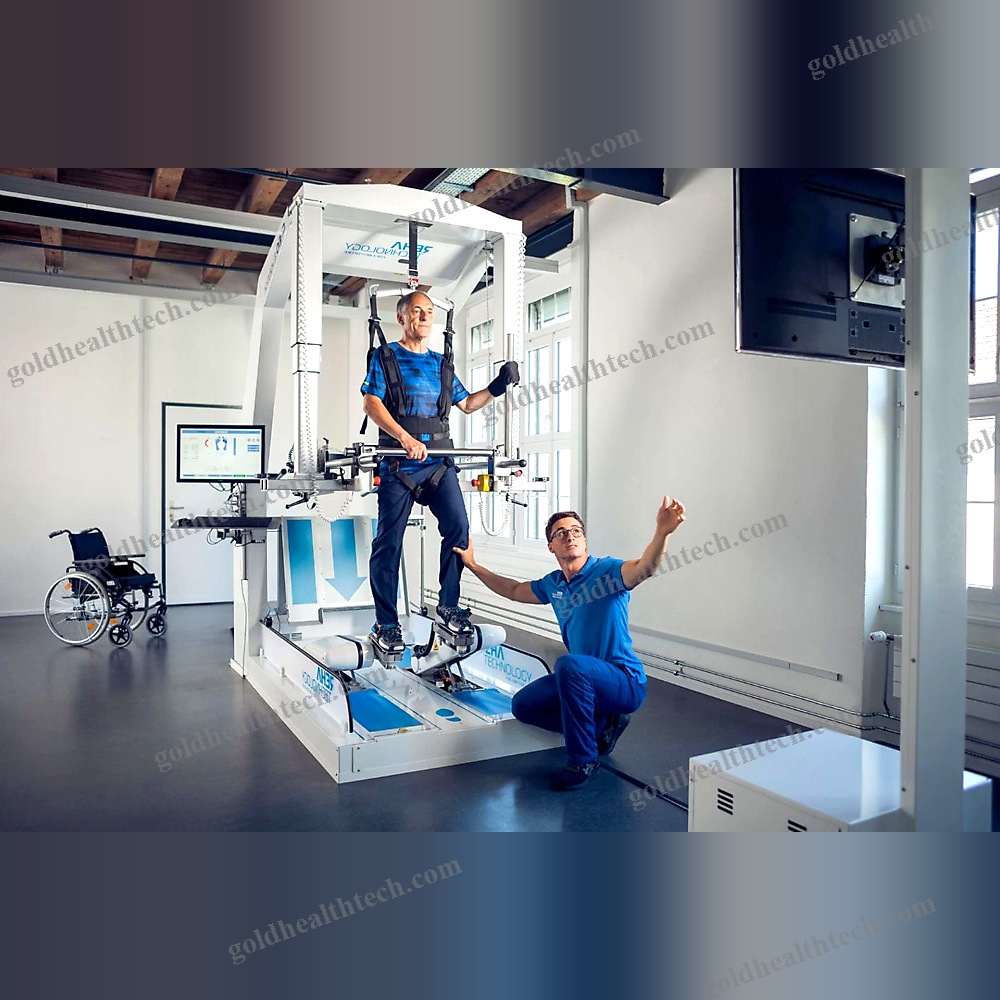 Gait Rehabilitation System
