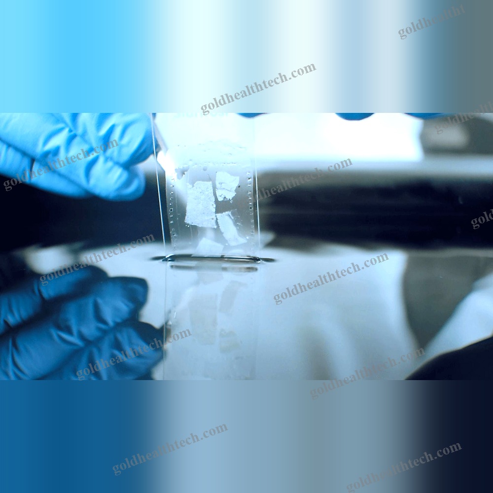Automated Microtome