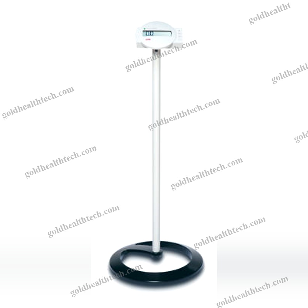 Electronic Platform Scale