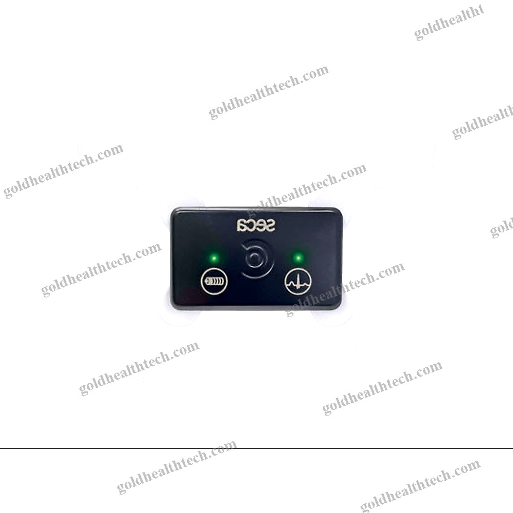 3-Channel Holter Ecg
