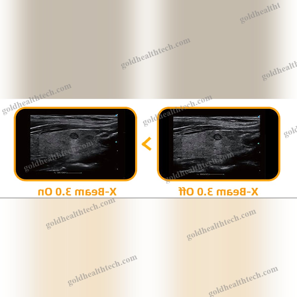 Multipurpose Veterinary Ultrasound System