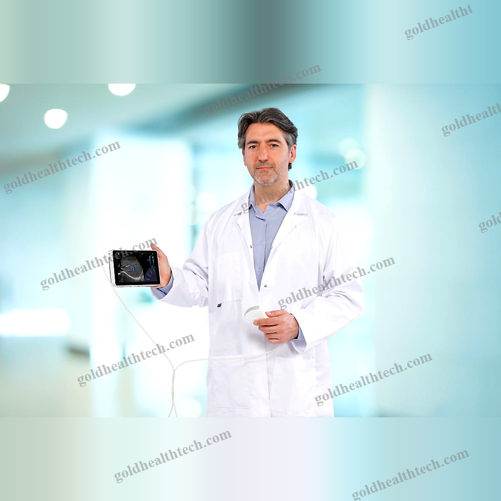 Hand-Held Ultrasound System
