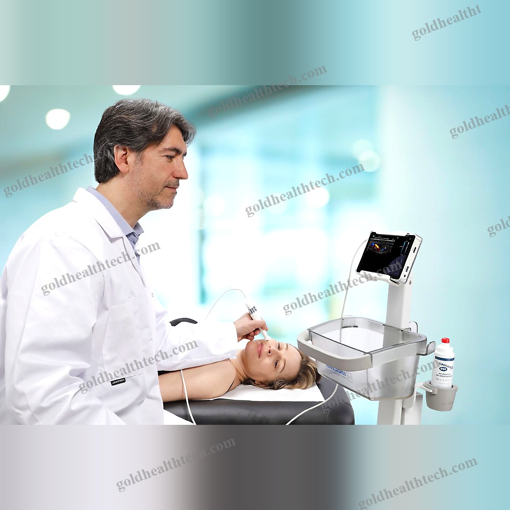 Hand-Held Ultrasound System