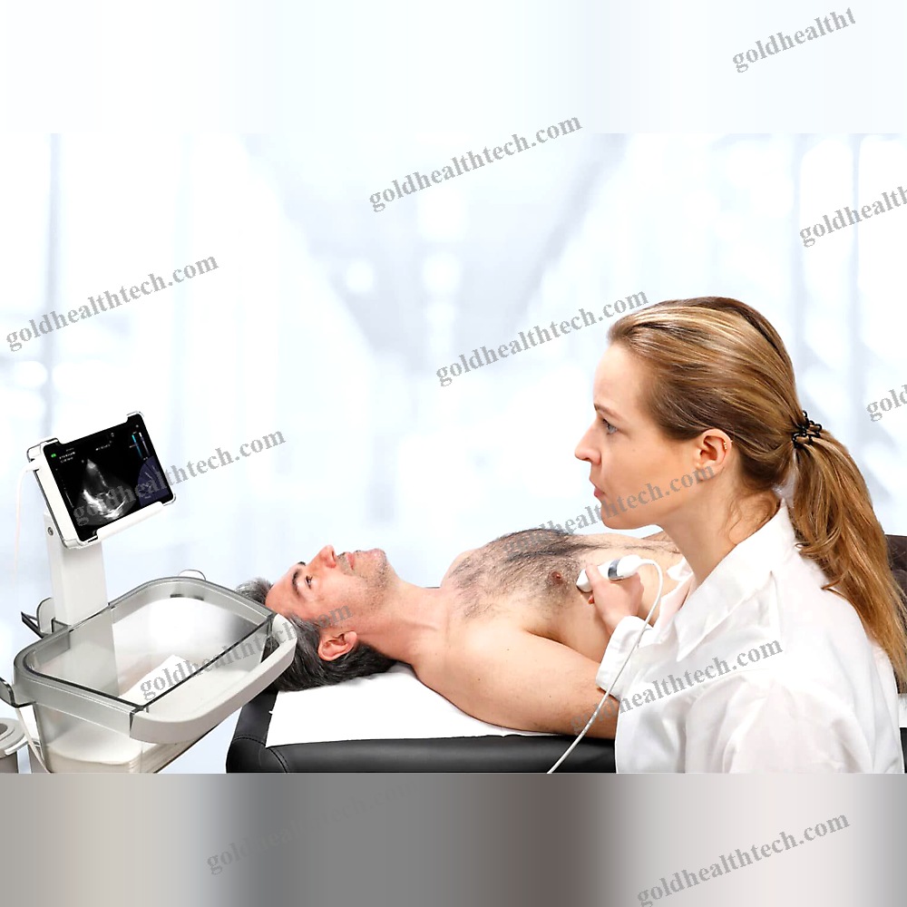 Hand-Held Ultrasound System