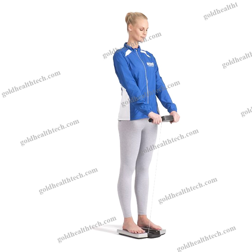 Electronic Body Composition Analyzer