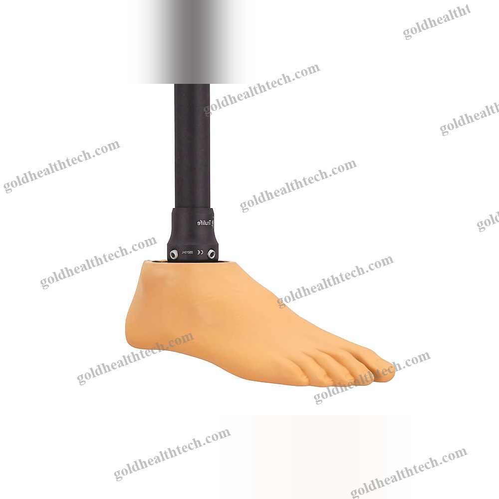 Sach Prosthetic Foot