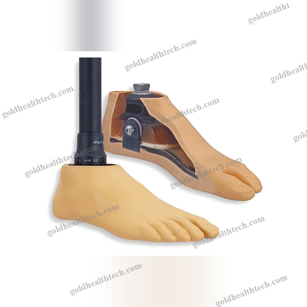 Sach Prosthetic Foot