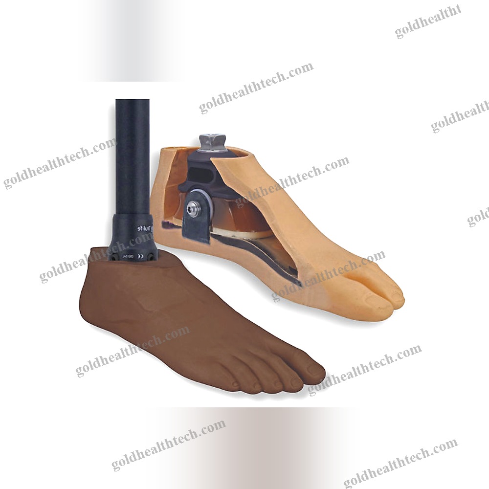 Sach Prosthetic Foot