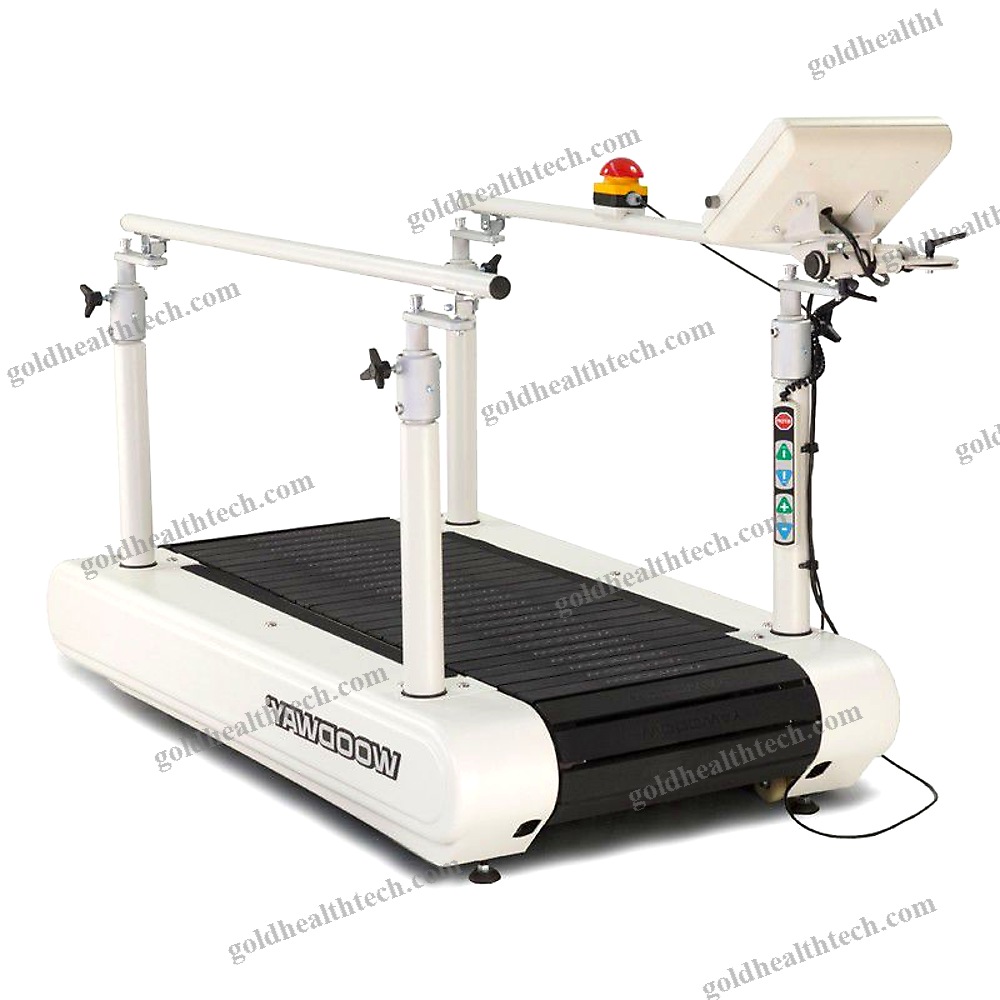 Treadmill Ergometer With Handrails