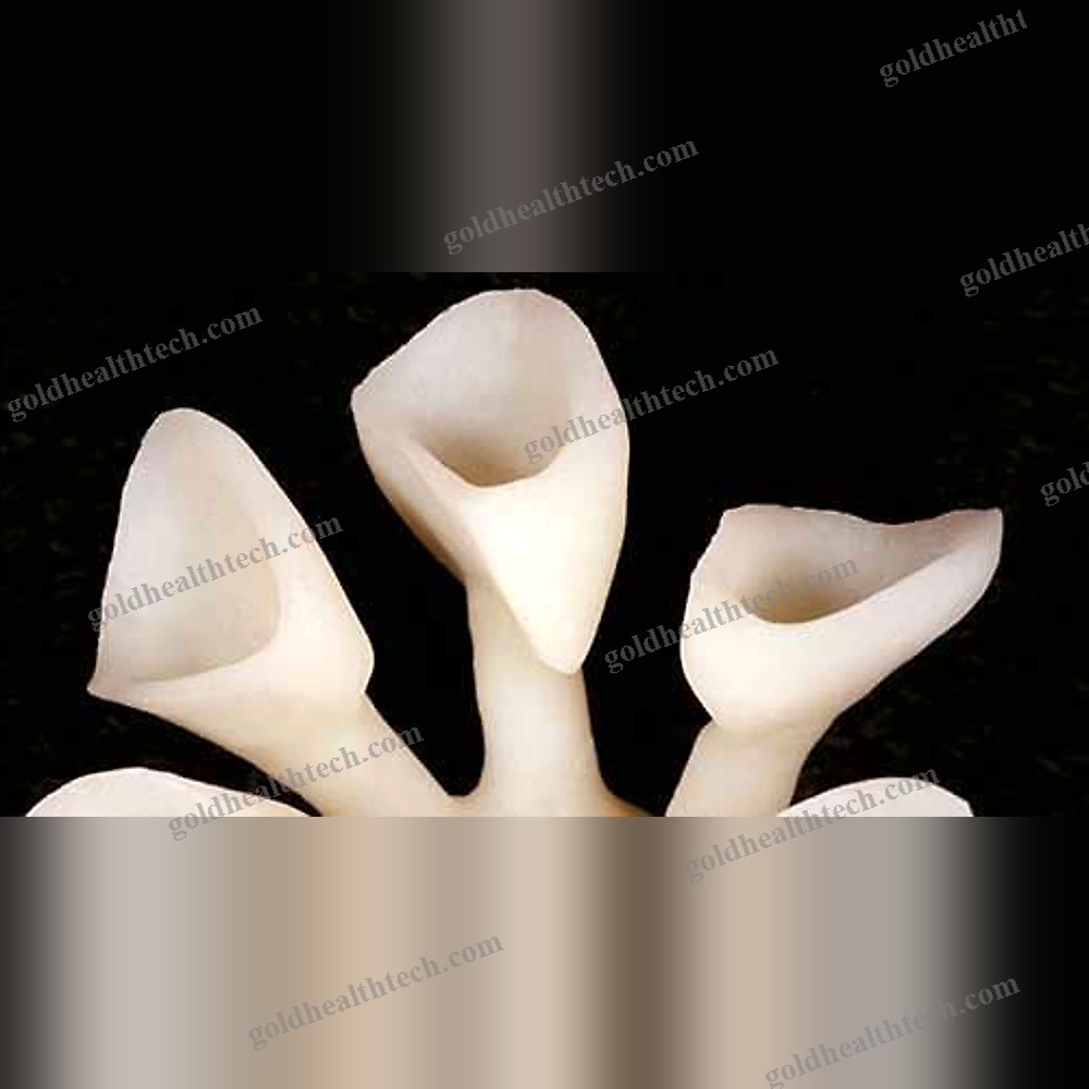 Ceramic Dental Material