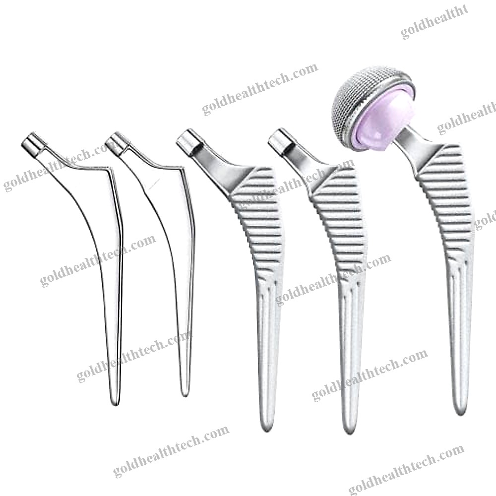 Cementless Femoral Stem