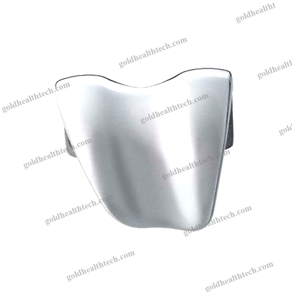 Total Knee Prosthesis