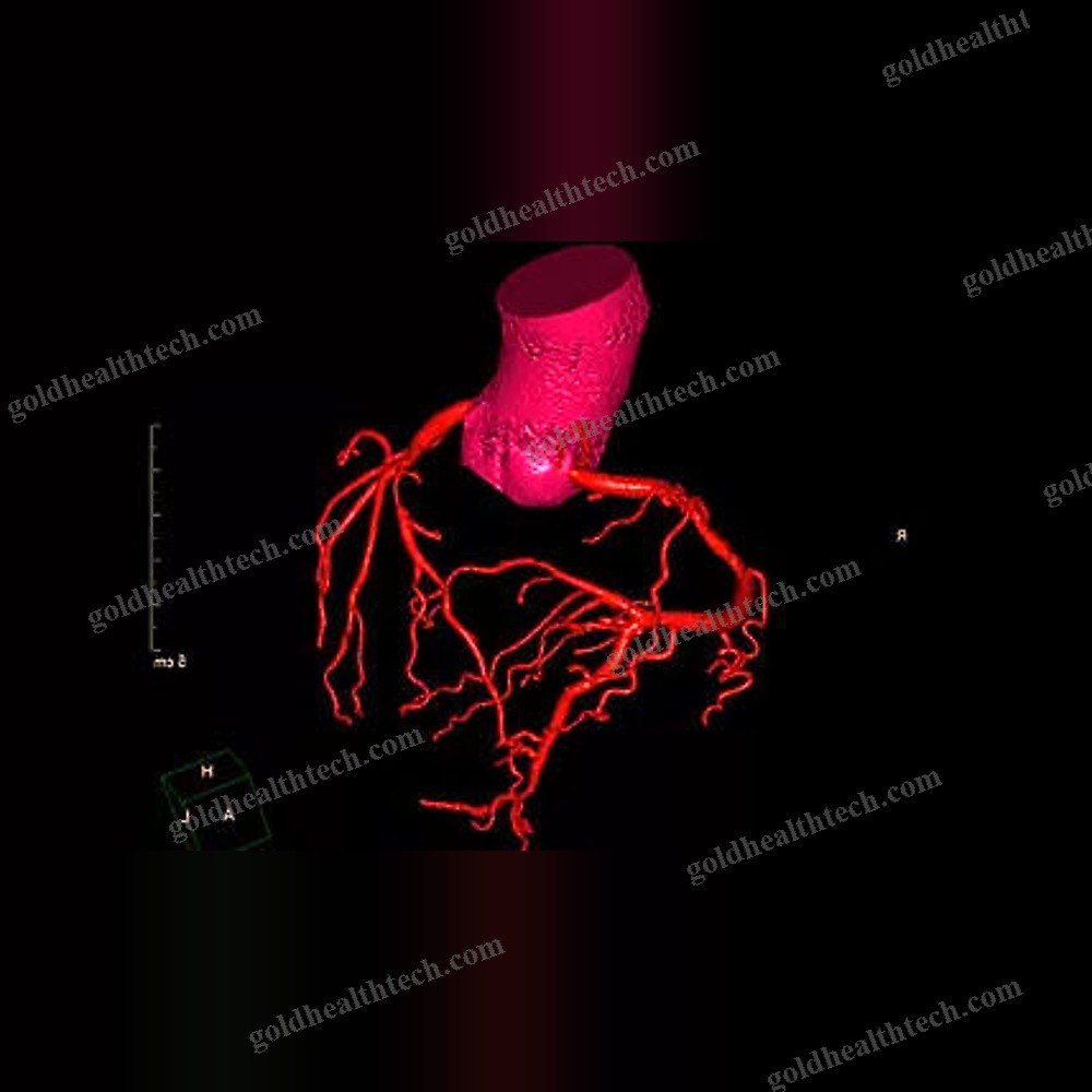 Medical Software