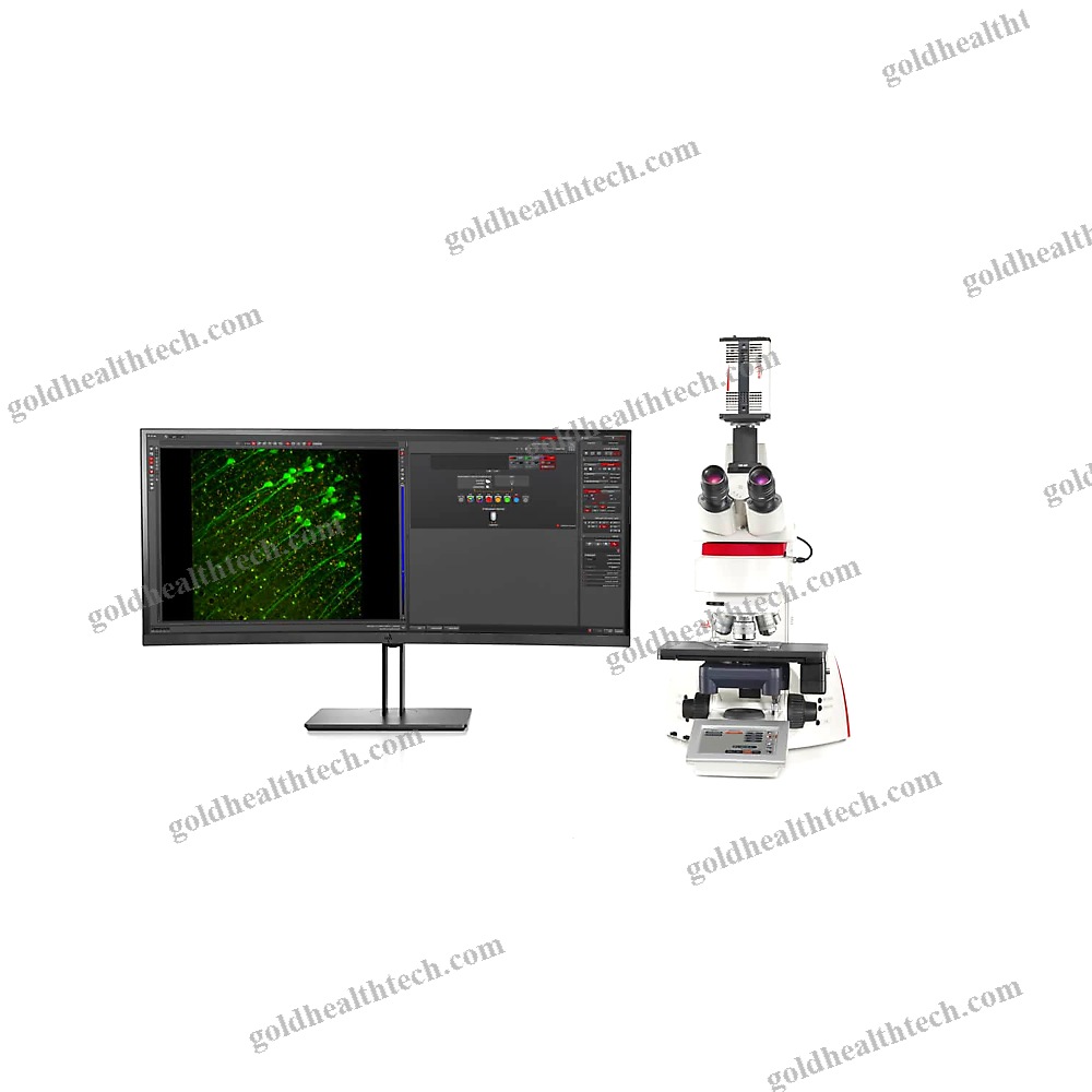 Fluorescence Microscope