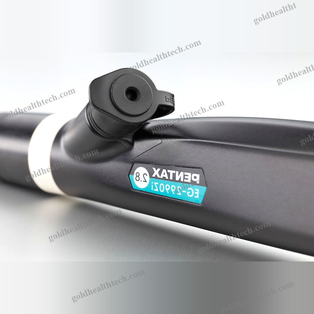 Video Gastroscope