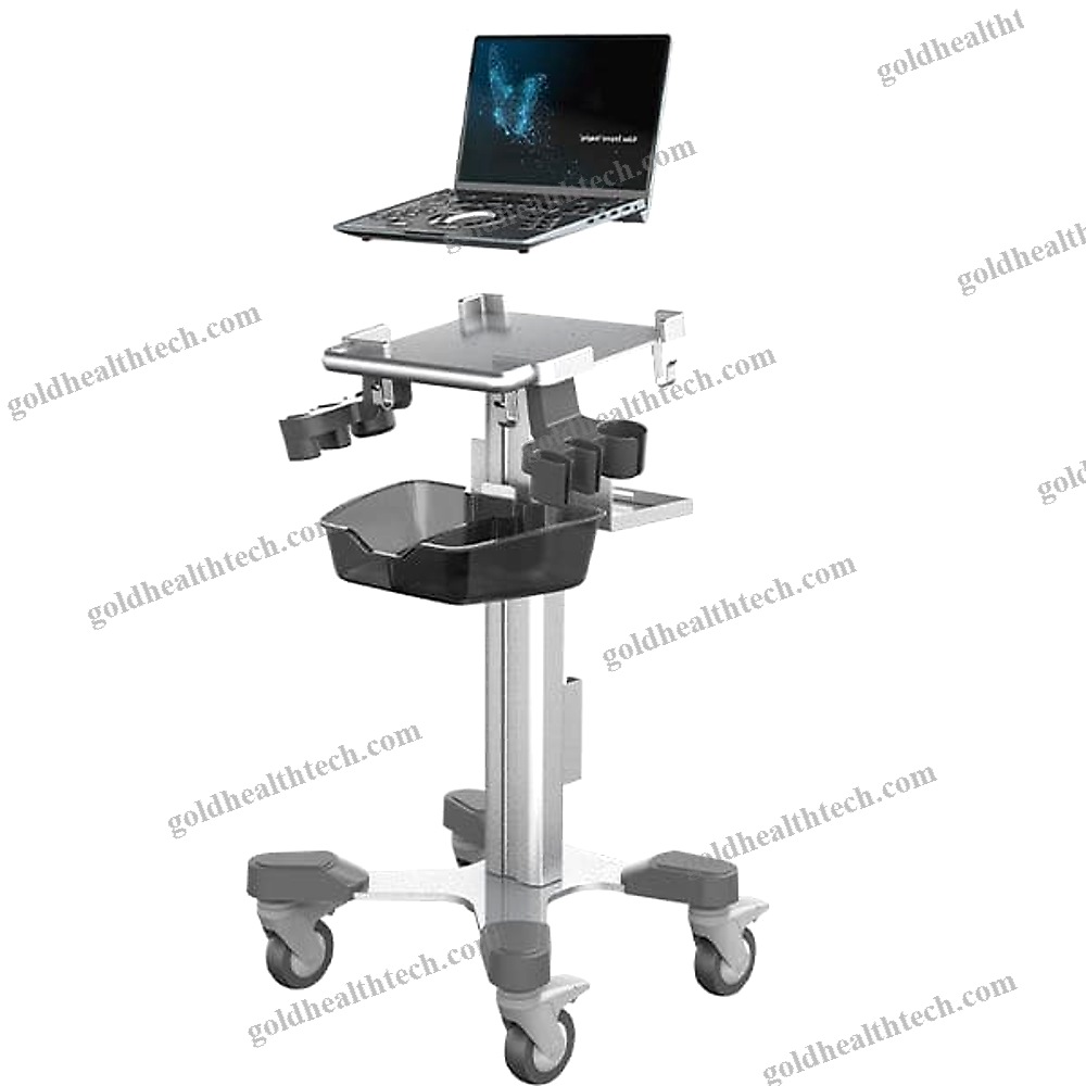 Portable Ultrasound System