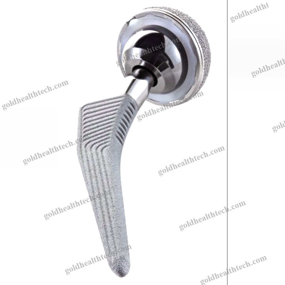 Minimally Invasive Femoral Stem