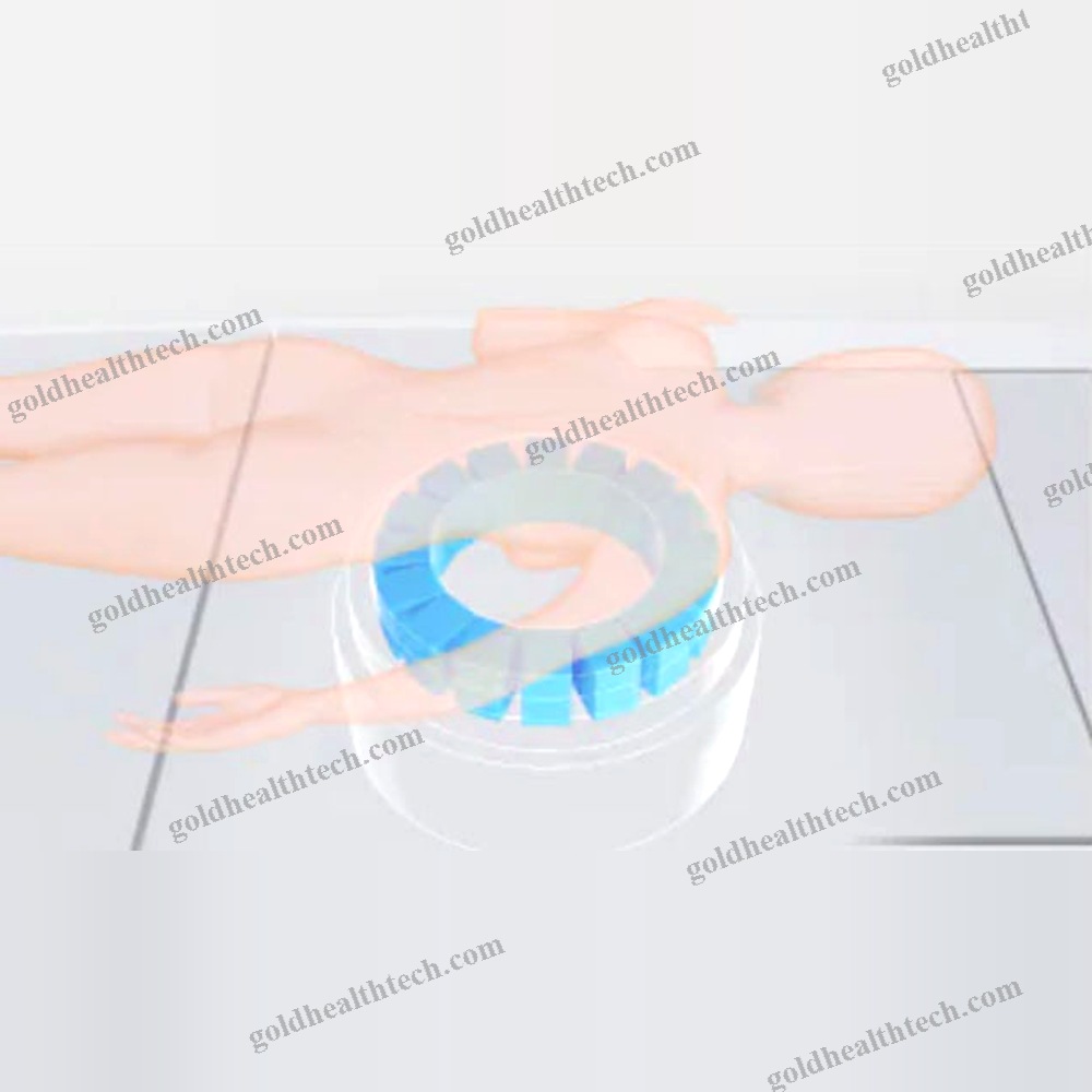 Veterinary Ct Scanner