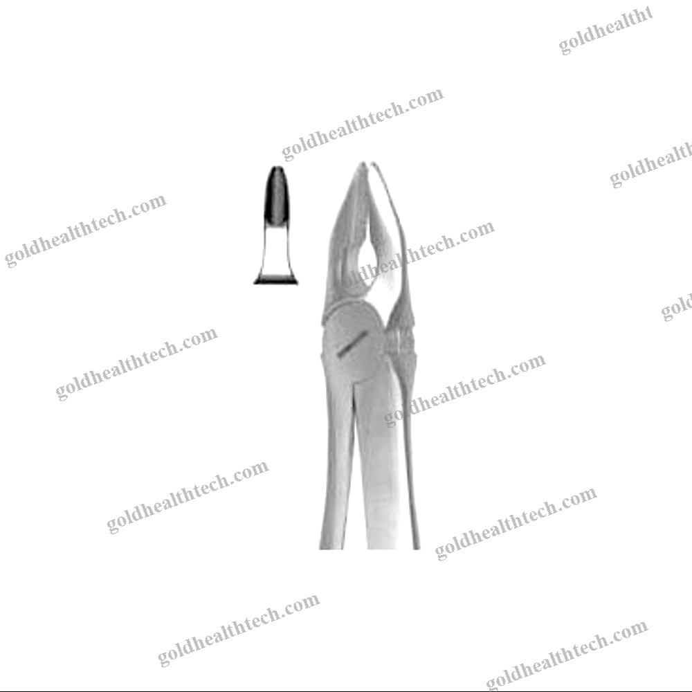 Upper Anterior Dental Extraction Forceps