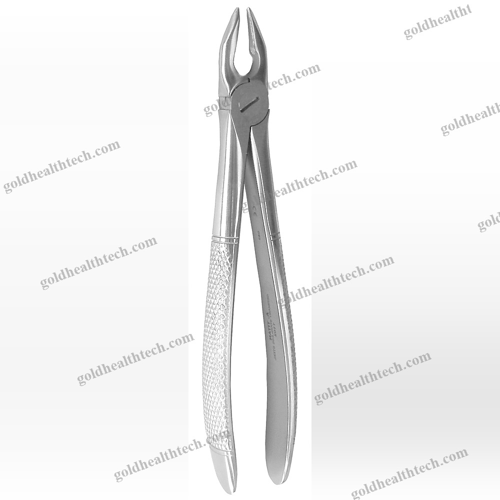 Upper Anterior Dental Extraction Forceps