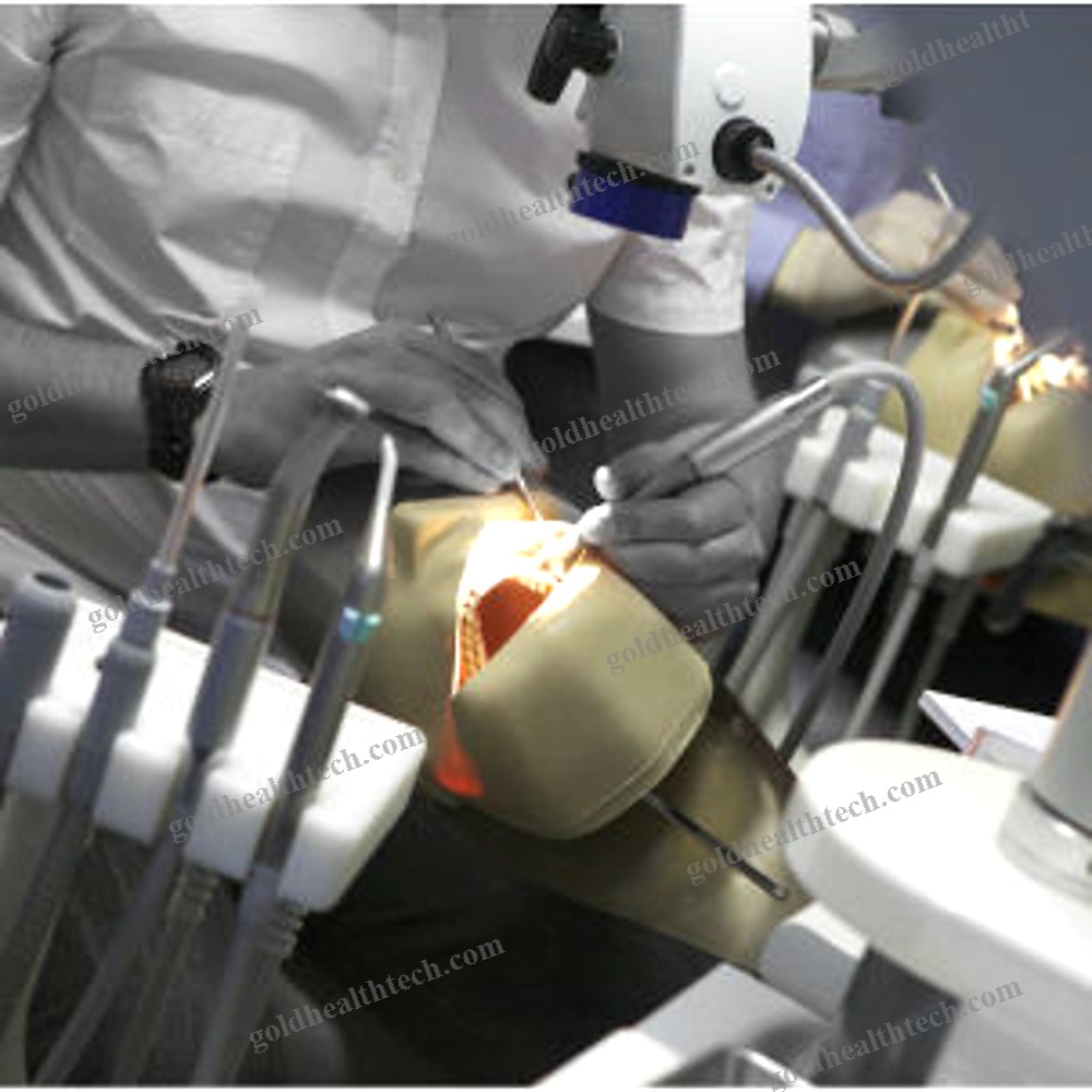 Training Dental Laboratory Workstation