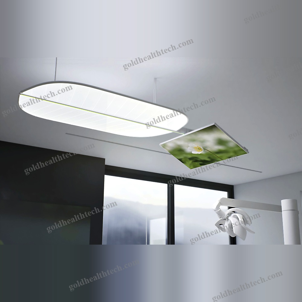 Ceiling-Mounted Lighting