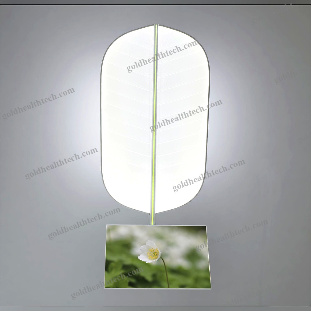 Ceiling-Mounted Lighting