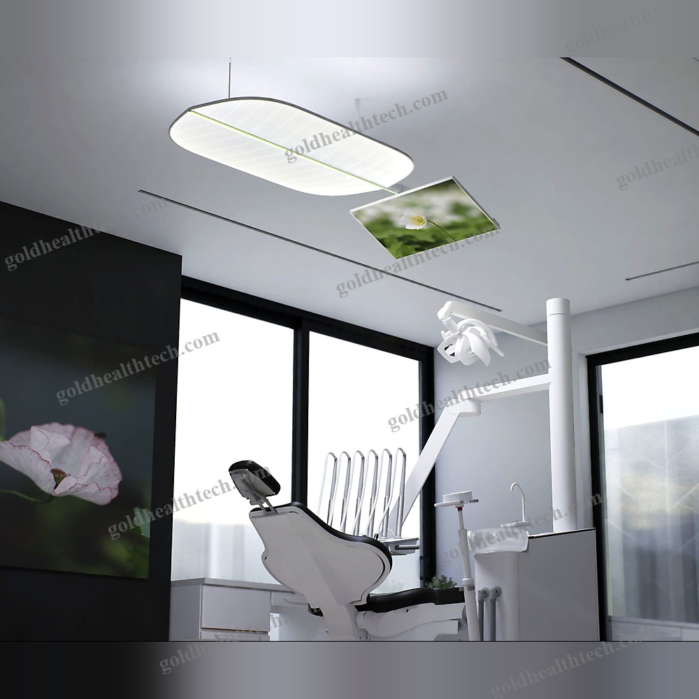 Ceiling-Mounted Lighting