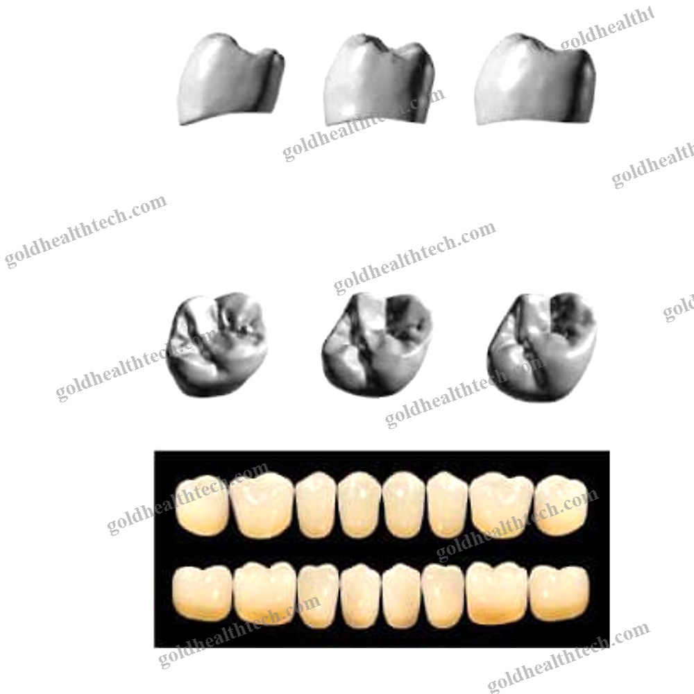 Acrylic Dental Prosthesis