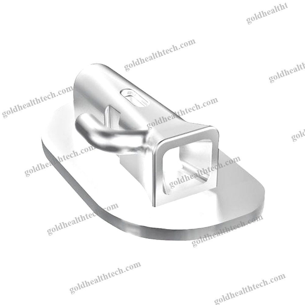 Buccal Tube