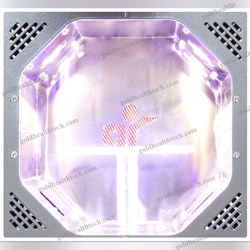 Dental Polymerizer