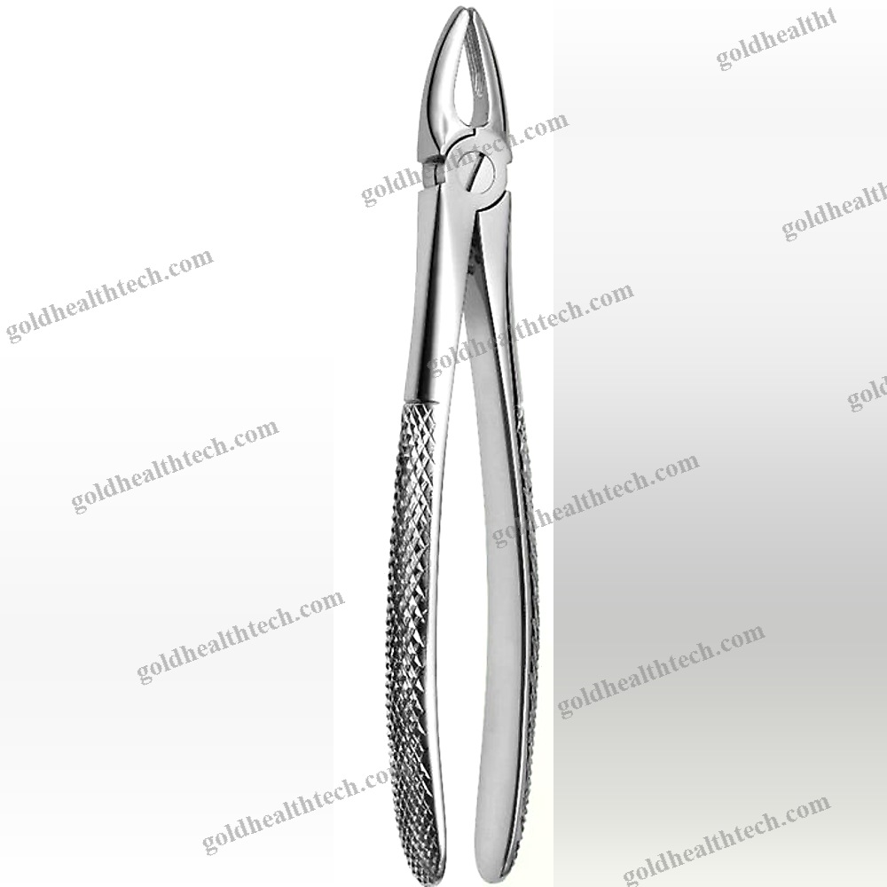 English Pattern Dental Extraction Forceps