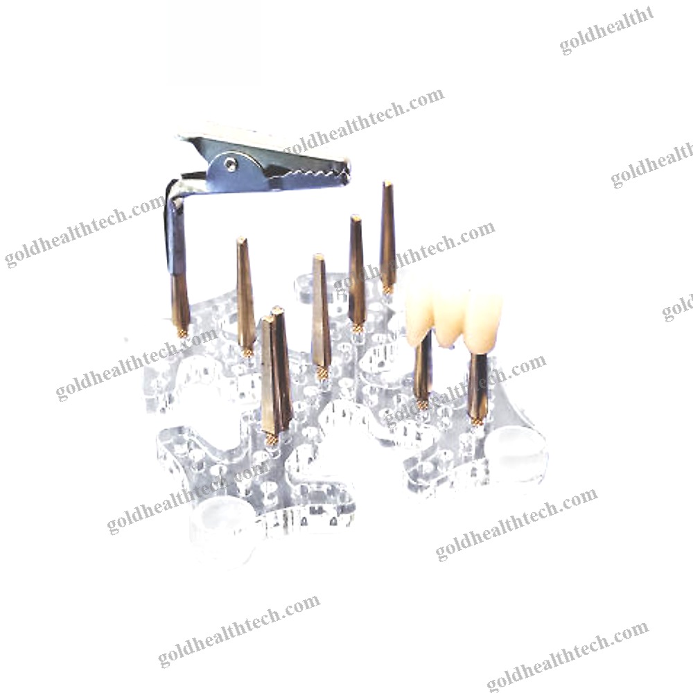 Dental Laboratory Polymerizer