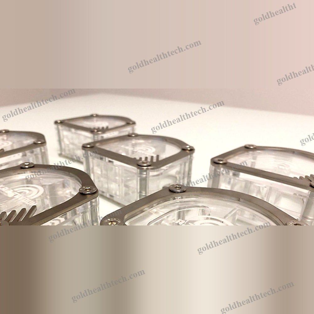 Polymerization Dental Flask