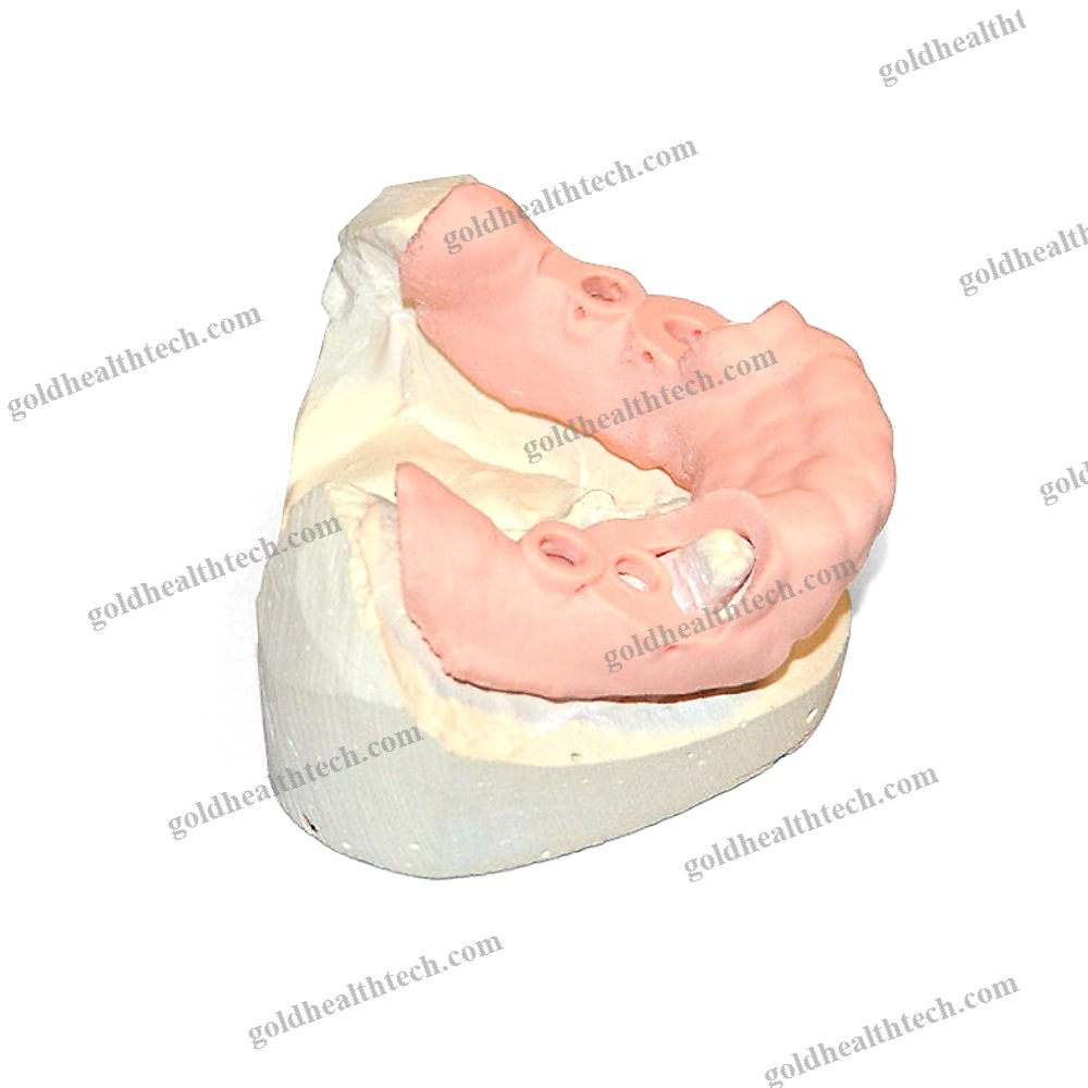 Dental 3D Printer